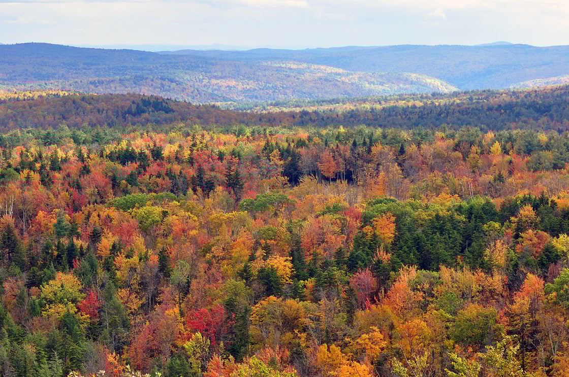 vermont